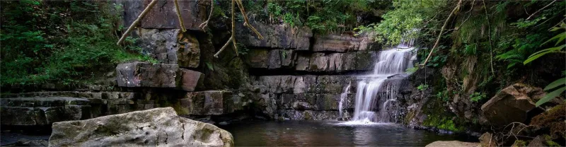 Sarawak Culture